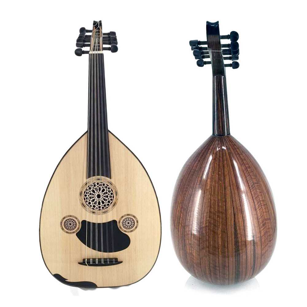 Buy a Professional Electric Saz - Sounds of the Orient